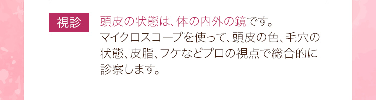 視診：頭皮の状態は、体の内外の鏡です。マイクロスコープを使って、頭皮の色、毛穴の状態、皮脂、フケなどプロの視点で総合的に診察します。