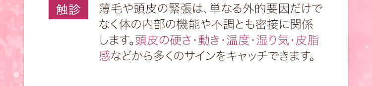 触診：薄毛や頭皮の緊張は、単なる外的要因だけでなく体の内部の機能や不調とも密接に関係します。頭皮の硬さ・動き・温度・湿り気・皮脂感などから多くのサインをキャッチできます。