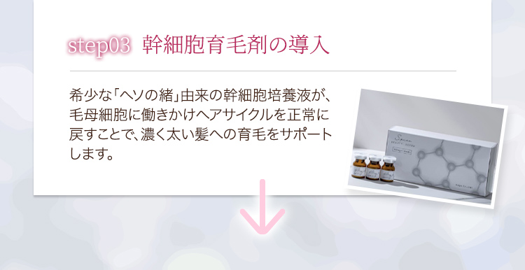 step03幹細胞育毛剤の導入 希少な「ヘソの緒」由来の幹細胞培養液が、毛母細胞に働きかけヘアサイクルを正常に戻すことで、濃く太い髪への育毛をサポートします。