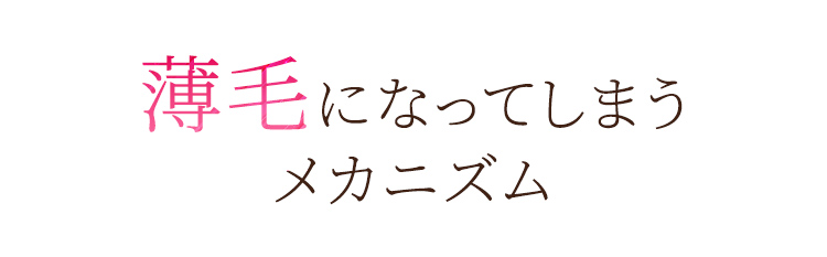 薄毛になってしまうメカニズム