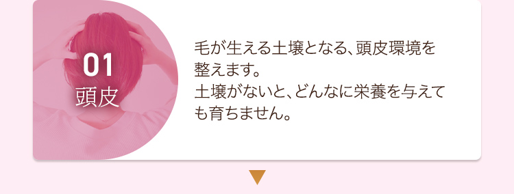 01頭皮 毛が生える土壌となる、頭皮環境を整えます。土壌がないと、どんなに栄養を与えても育ちません。